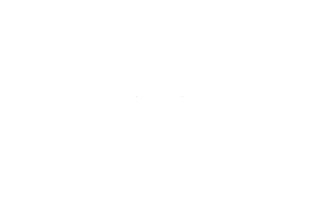 AugustaUniversity_S_Reversed